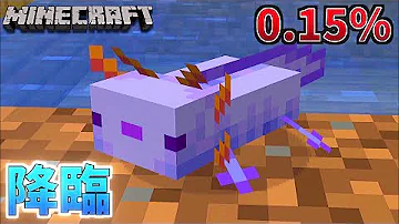 マイクラswitch青ウーパールーパーコマンド