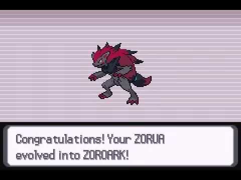 Zorua Evolution Chart