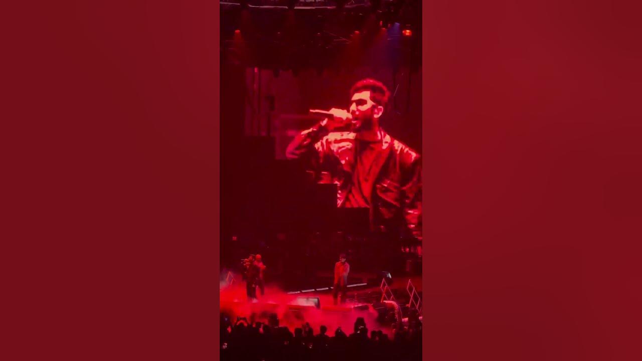 Devara Fear song live at anirudh’s Hukum concert @Chicago! #anirudh #jrntr #toronto #chicago #dallas
