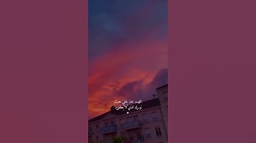 (نور على نور يهدي الله لنوره من يشاء) 💕 تلاوة خاشعة ♥️