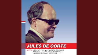 Video thumbnail of "Jules de Corte - De enkeling"