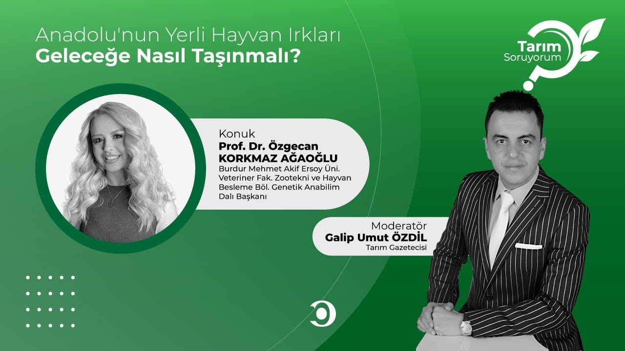 Tarım SoruYorum | Anadolu'nun Yerli Hayvan Irkları Geleceğe Nasıl Taşınmalı?