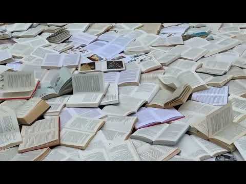 Video: Dmitri və Yulia DreamPapercut tərəfindən rəngli kağızdan oyma