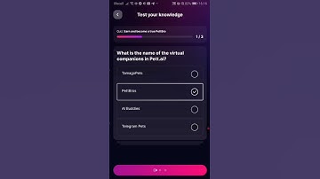 Sweat Wallet Earn and Become a True PettBro Quiz Answers