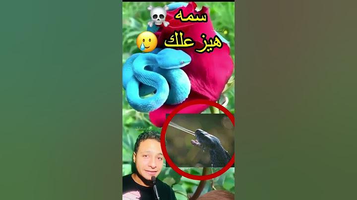 اذا رأيت هذا الثعبان اهرب فوراً! #shorts