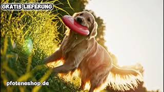 Sicherheit für deinen Hund 🐾 Smart Bluetooth Tracker #shorts #hundeliebe #haustiere #deutschland