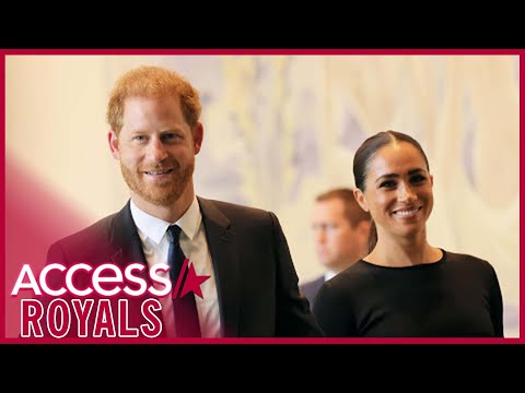 Meghan Markle Praised As 'Amazing' By Prince Harry's Polo Friend