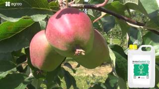 Opryskiwanie jabłoni wapniem, wapń i aminokwasy AminoQuelant Ca