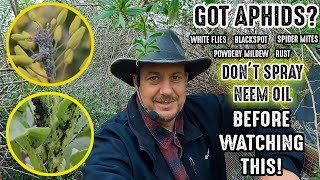 Don't Spray Neem Oil In Your Garden Before Seeing This! by Plant Abundance 64,748 views 1 year ago 6 minutes, 10 seconds