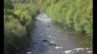 08 09 Demo TV   Campeonato pesca Cantabria