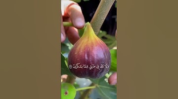 اكتب شيء تؤجر عليه  | سوره النحل