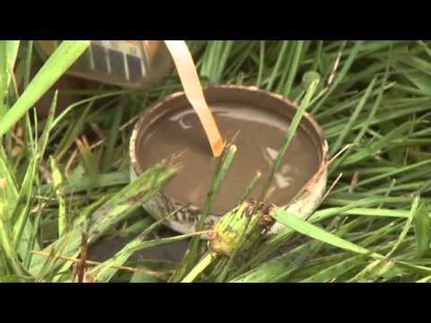 Soil Ph Test You Soil Ph Test