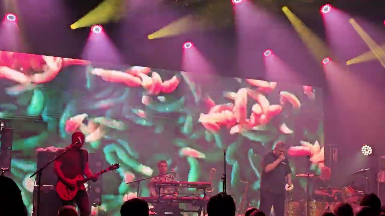 Kult - Krew jak śnieg | Klub Studio | Kraków | 14.11.2025 #kult #kazik #operacjateneryfa