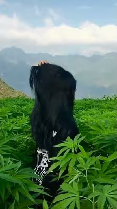 STATUS WA MABOK GANJ