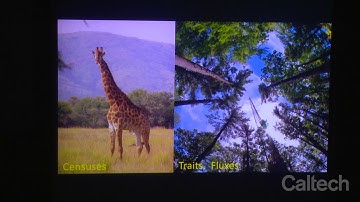 Imaging Spectroscopy from Space