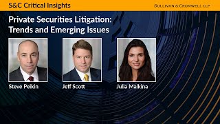 Private Securities Litigation: Trends and Emerging Issues