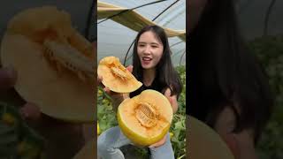 Rich Fruit - Cutting Melon on Farm Part 133 #Shorts #Fruit #Cutting