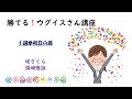勝てる！ウグイスさん講座①初日の回  #ウグイス　#選挙ウグイス　#ウグイス嬢　#出陣式　動画サイズ：20:44
