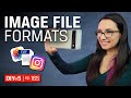 Image File Formats JPG, PNG, TIFF, GIF and RAW 🖼 DIY in 5 Ep 165