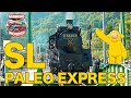 All Aboard! A Real Japanese Steam Train Ride! 🚂🇯🇵