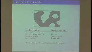 Dr. Sebastian Aland | Phase field models for multiphase flow with applications to cell motility