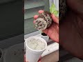 #garden #seeds #hydroponics #growyourownfood