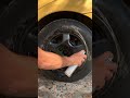 صبغ عجلات السيارة بطريقة سهلة وتكلفة اقل 