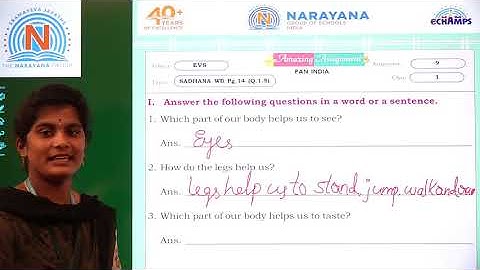 1ST SEP PAN INDIA CLASS I EVS AMAZING ASSIGNMENT KEY