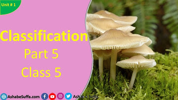 General Science  | Class 5 Unit 1 | Classification of Living Things | Part #5 |#ashabesuffa|