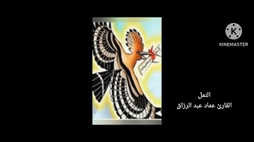 النمل /القارئ عماد عبد الرزاق