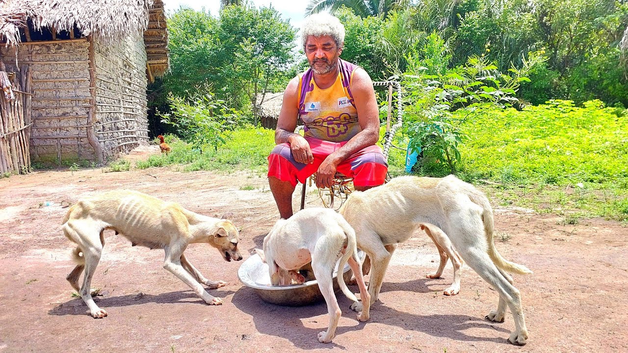 Levamos alimentos para família que vive isolada na mata mal assombrada #gratidão