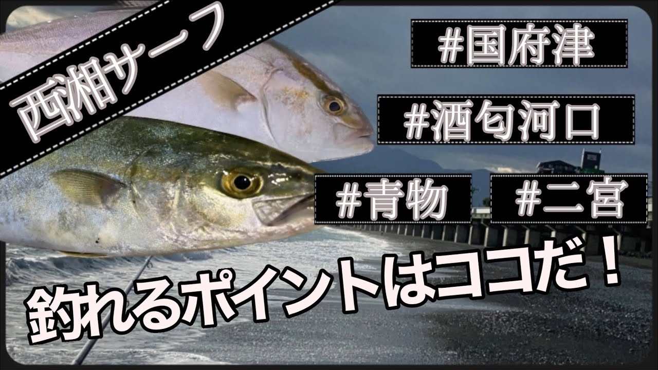 【西湘ポイント紹介】国府津〜酒匂の釣れるポイントを紹介します。途中めっちゃ‥釣れる場所も‥