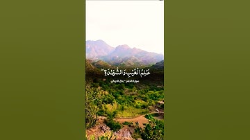 تلاوةخاشعة تريح القلب #elmulquranعلم #قران_كريم #تلاوة #المصحف #اكسبلور #لايك #trend #aslam