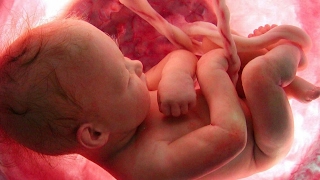 Bebe creciendo dentro del vientre