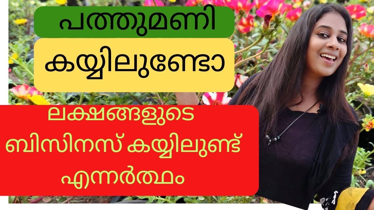 ഇപ്പോൾ വീട്ടമ്മമാർക്കും വീട്ടിൽ ഇരുന്നുകൊണ്ടു തന്നെ plant-based business തുടങ്ങാനാവും