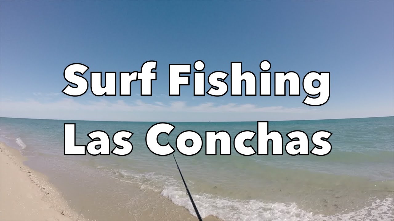 Surf Fishing Las Conchas, Day 3,  in Puerto Peñasco, Mexico: Sonoran Desert Beach Fishing