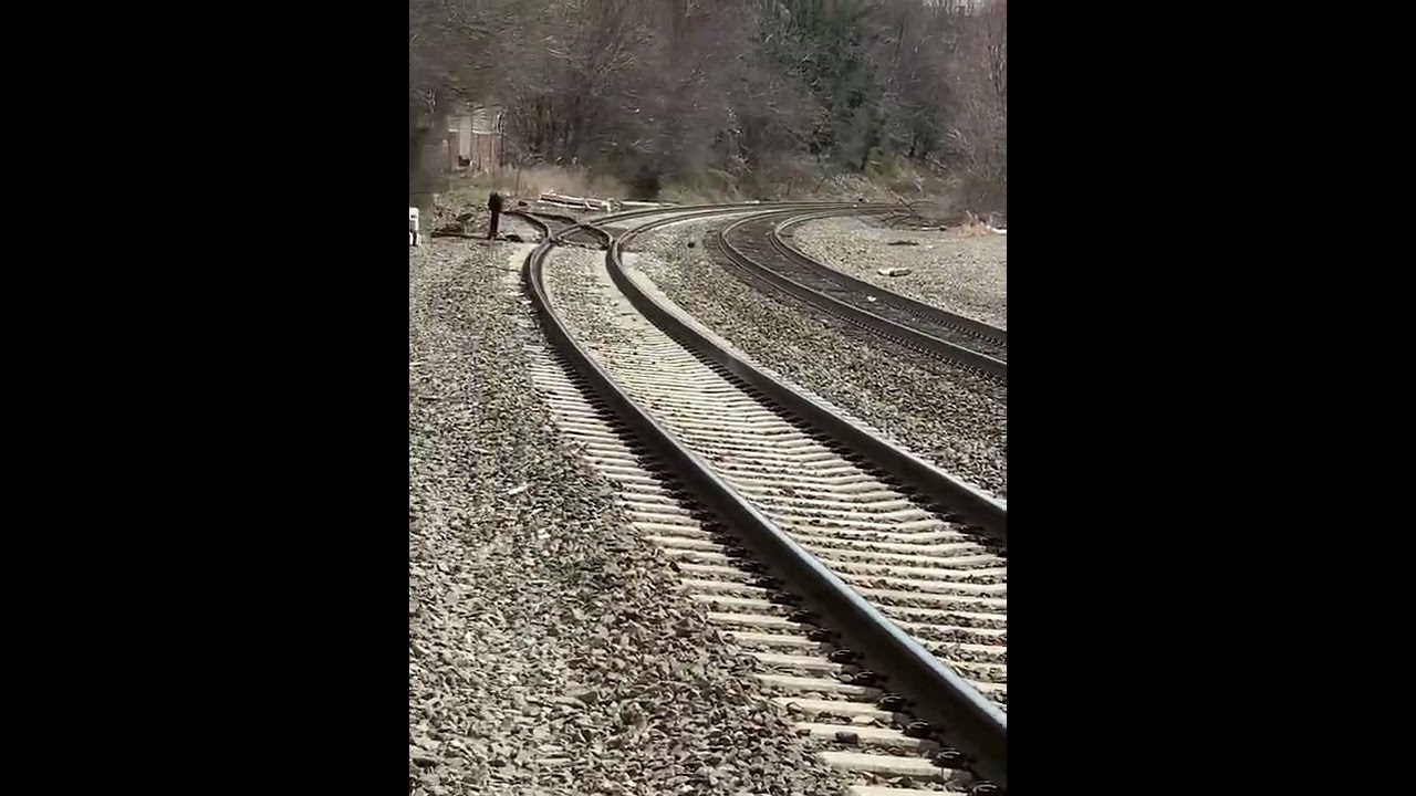 Kingsland station may close not ADA new station being built near by Lyndhurst