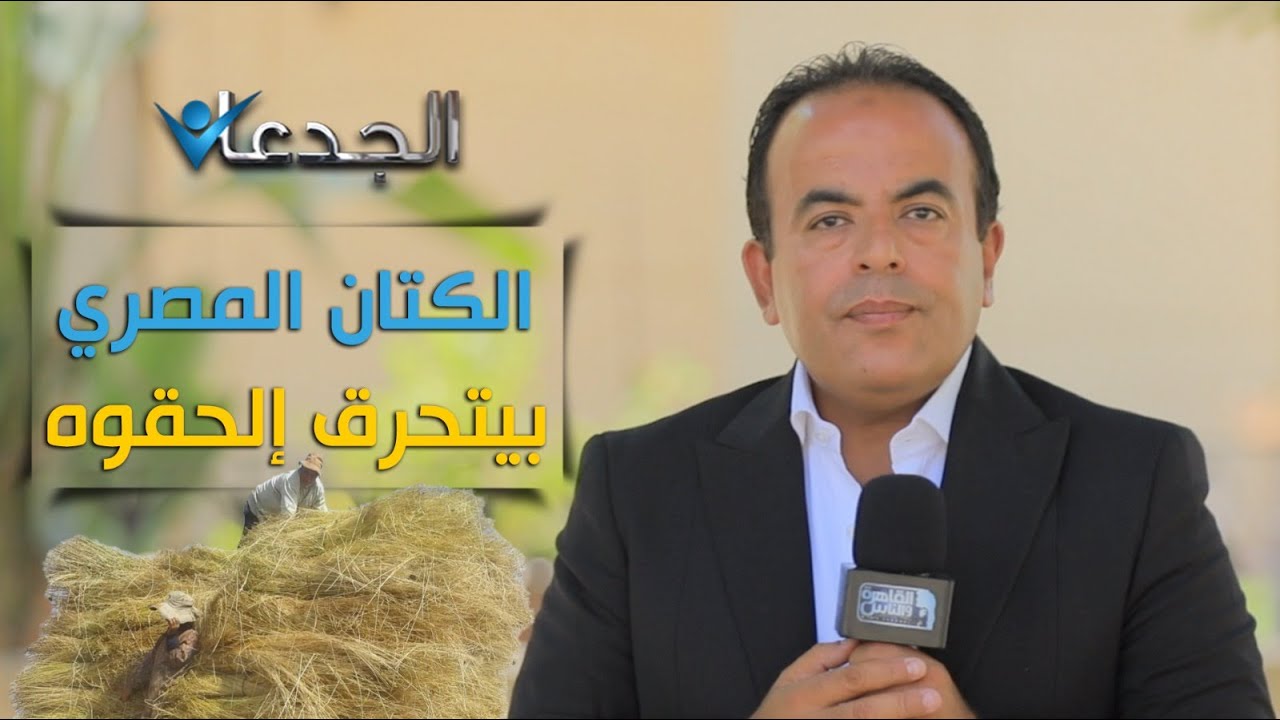 الطن منه بـ 250 ألف جنيه.. إنتاج الكتان بيدمر لازم نلحقه