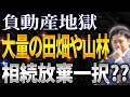 【通常回】大量の田畑や山林がある場合は相続放棄一択ですか?
