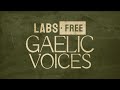 New labs gaelic voices  free enchanting folk choir vst