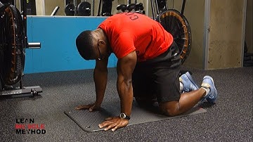 Cat Camel Exercise Demo