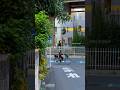 秋の夕暮れ、東京の街を歩く。こんな曇りの日の東京も、なんだか落ち着くんだ。#東京散歩 #日本の美 #癒し動画 #静かな時間 #TokyoVlog #tokyostreet #japanvibes