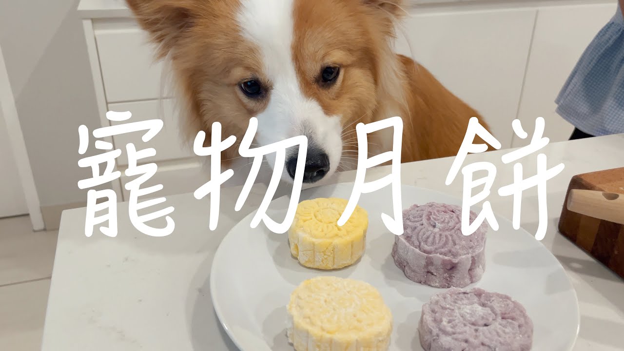 【妹妹】 寵物月餅 小狗小貓都愛吃！ ｜兄弟姐妹