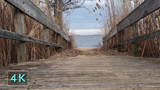 Boardwalk To The Bay - 10 Hours Bay Breeze Beach Water Sounds - Nature Background Scene - 4K - March