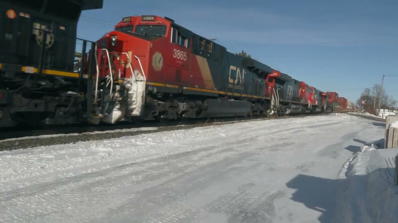 CN #Z121 Montmagny Mile 78.10: CN 3903-3865-3279-8338-3209-3187