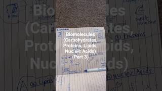 Why Do Cells Need DNA and RNA?
