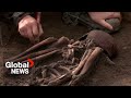 Danish archaeologists unearth 50 Viking Age skeletons