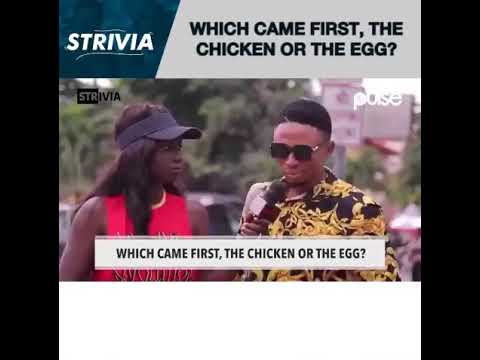 Which came first, the Chicken or the Egg? Do you know the answer🤔🤔  #PulseNigeria #PulseStrivia