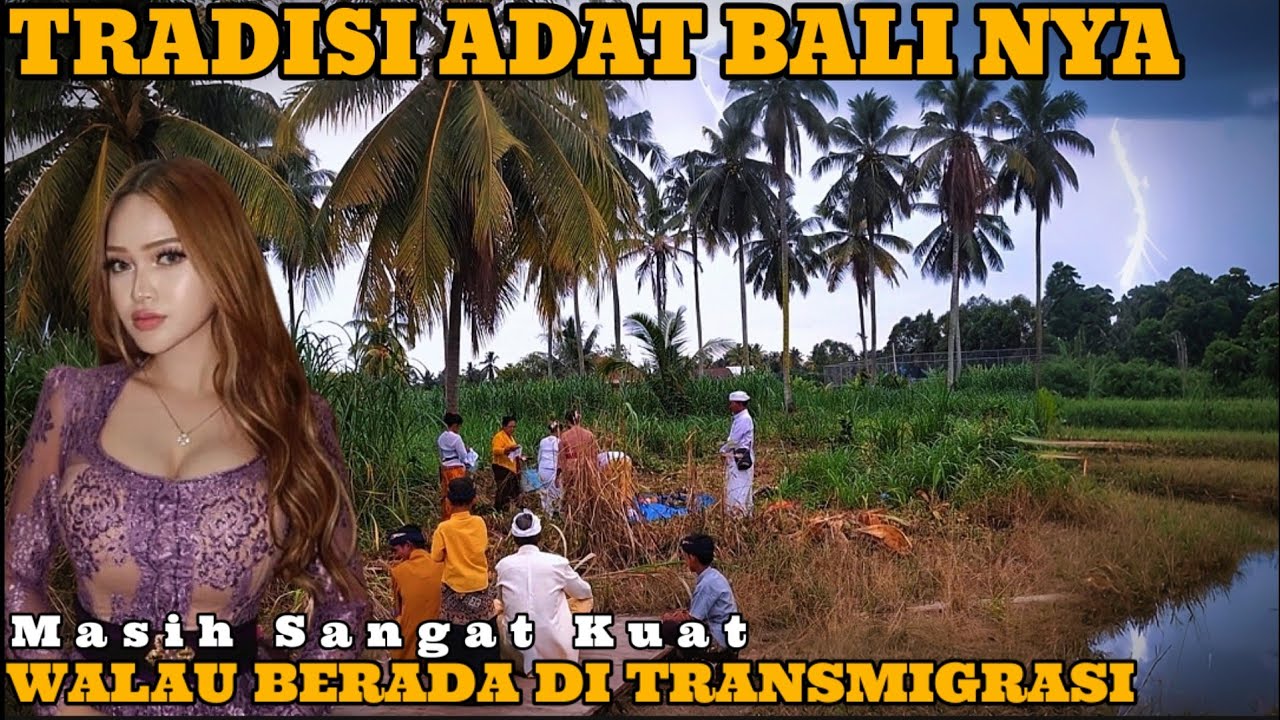 HIDUP DI TRANSMIGRASI, SUASANA SORE WARGA BALI KAMPUNG HINDU DI SULAWESI SELATAN LUWU TIMUR