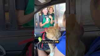 First Time He Got Spooked
